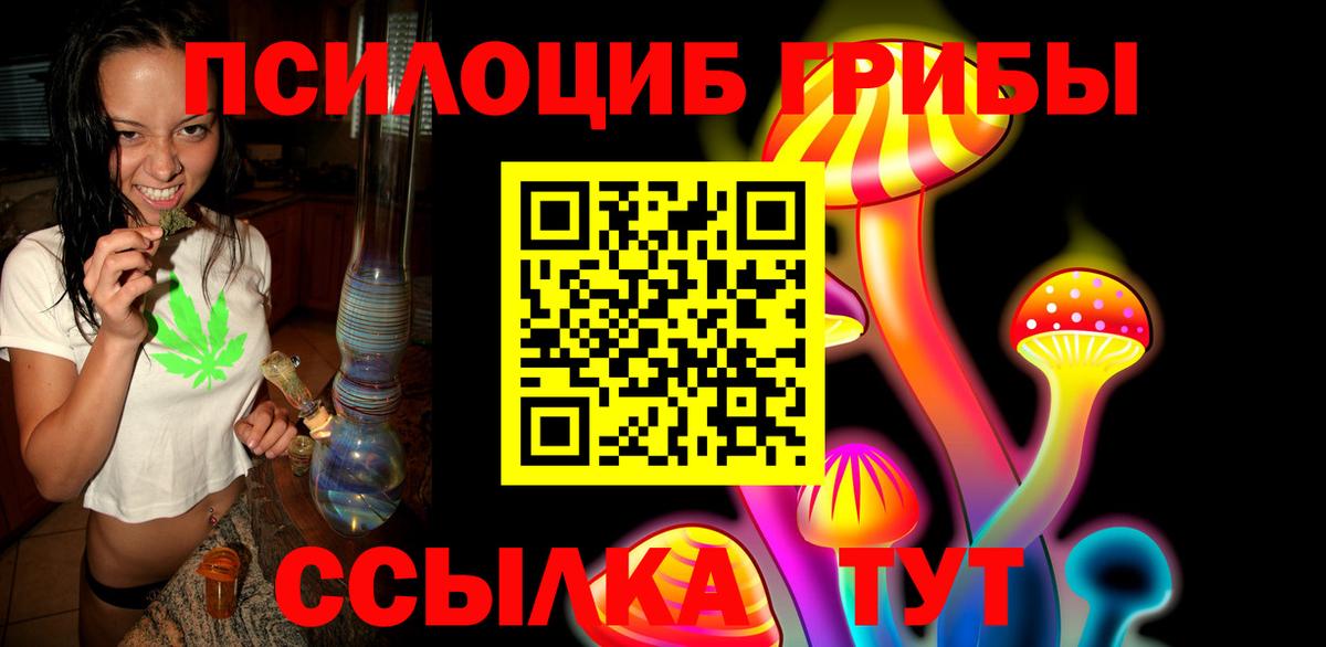 Медногорск  Псилоцибиновые грибы GOLDEN TEACHER  Вход с VPN 